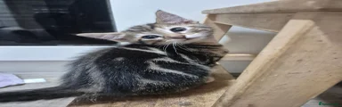 John