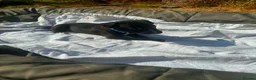 Lurcher dogs for sale: LURCHER PUPPIES  - Advert 1