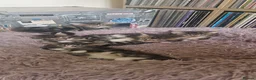 Maine Coon cats for sale: Fluffy picture perfect Maine Coon kittens in Tarporley - Advert 7