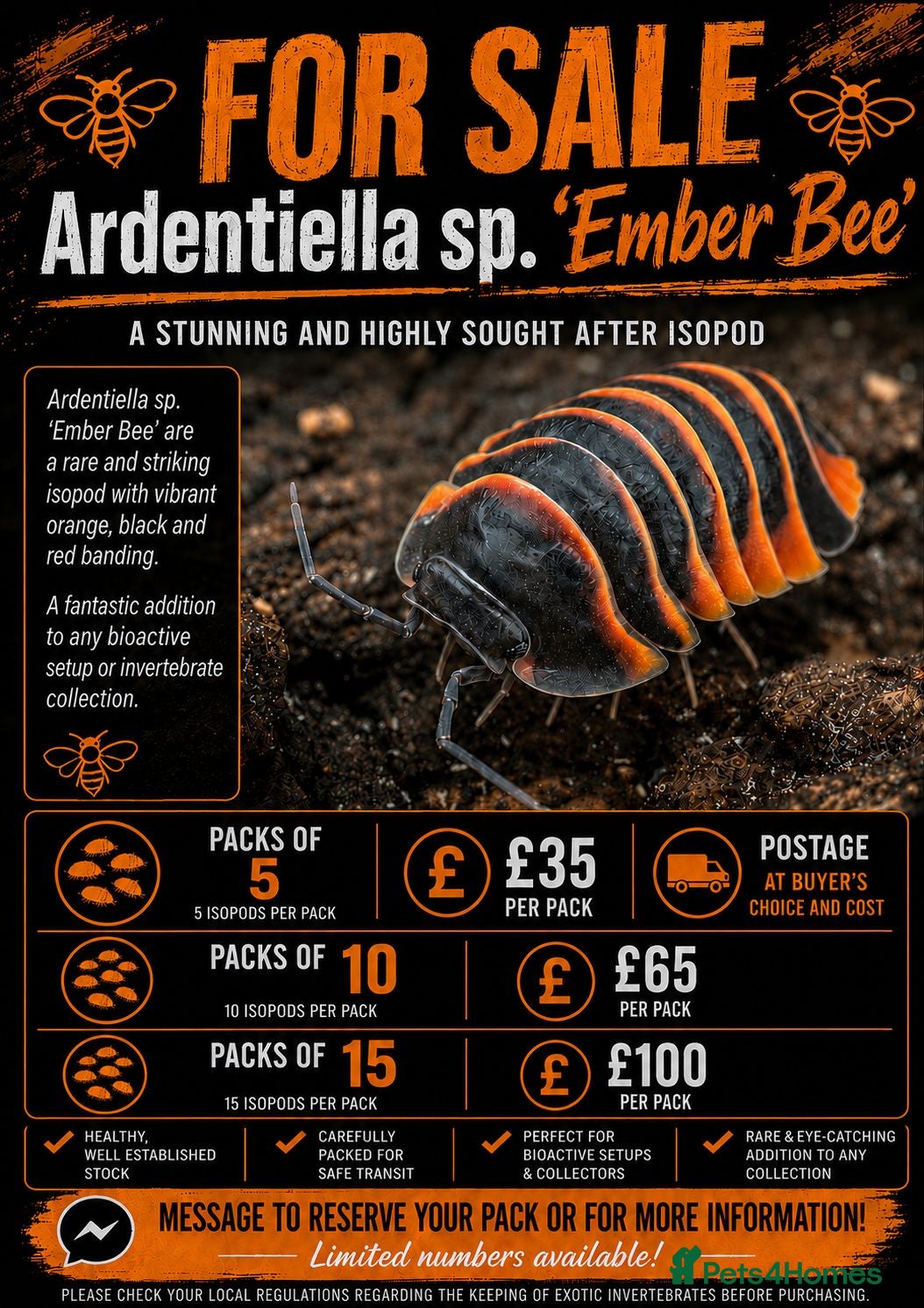 Isopods invertebrates Ember bee Isopods  - Advert 15