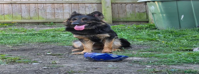 Bonnie B