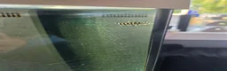 Plecos fish for sale: 180L fish tank  - Advert 5