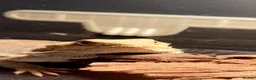Bearded Dragon reptiles for sale: Bearded dragon and set up for sale in Liverpool - Advert 1