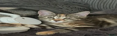 Swirl 