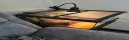 Frog reptiles for sale: Albino horned frog  in Wolverhampton - Advert 5