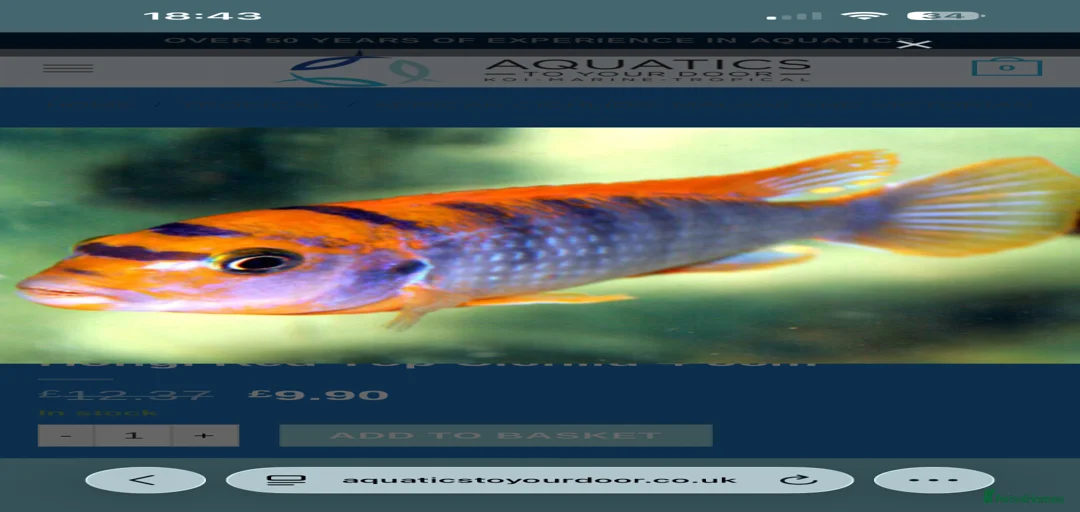 Gallery Image {{count}}