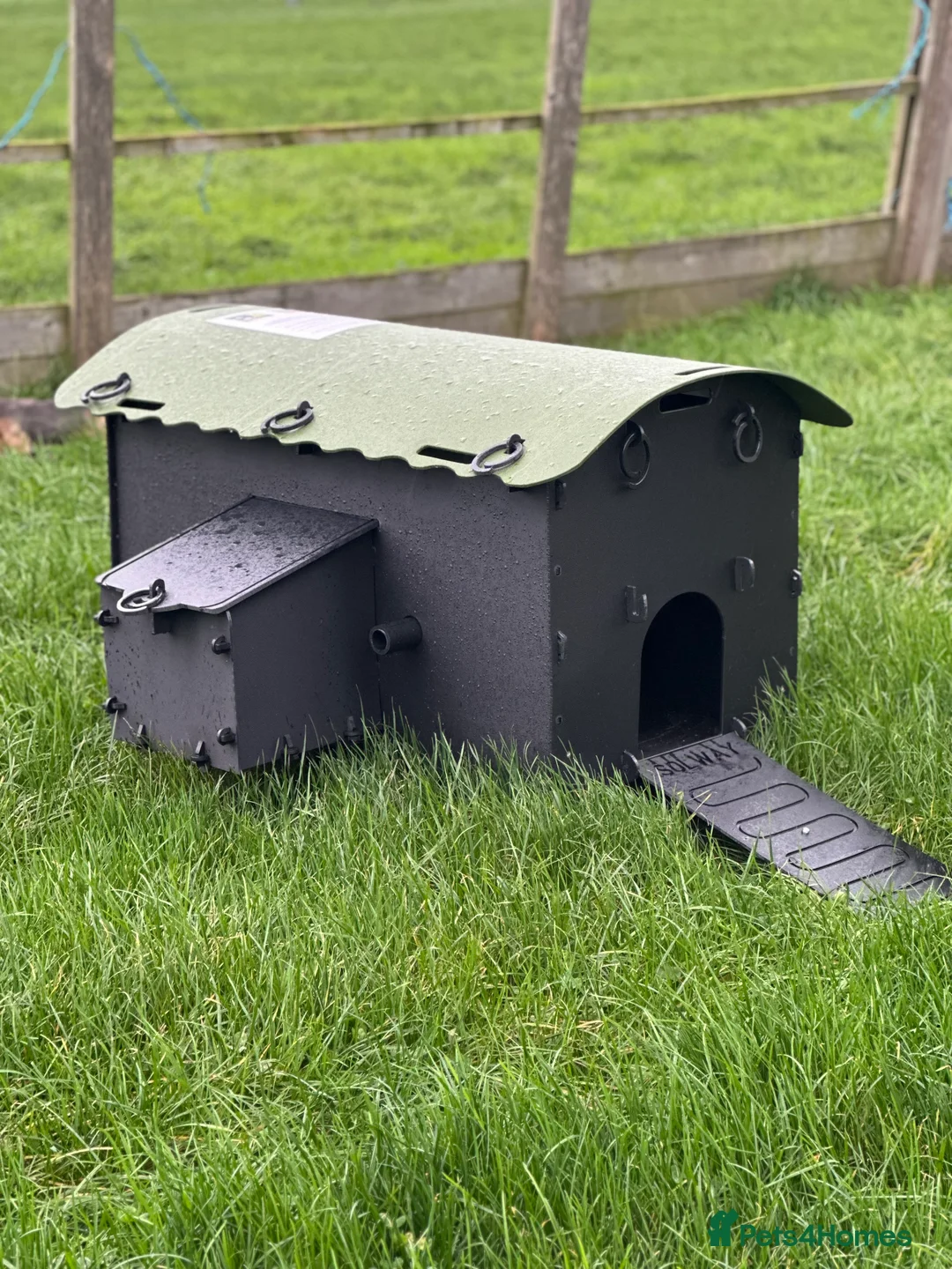 Mixed Breed poultry for sale: Mini Hen Coop - Recycled - 3/4 Birds - Advert 3