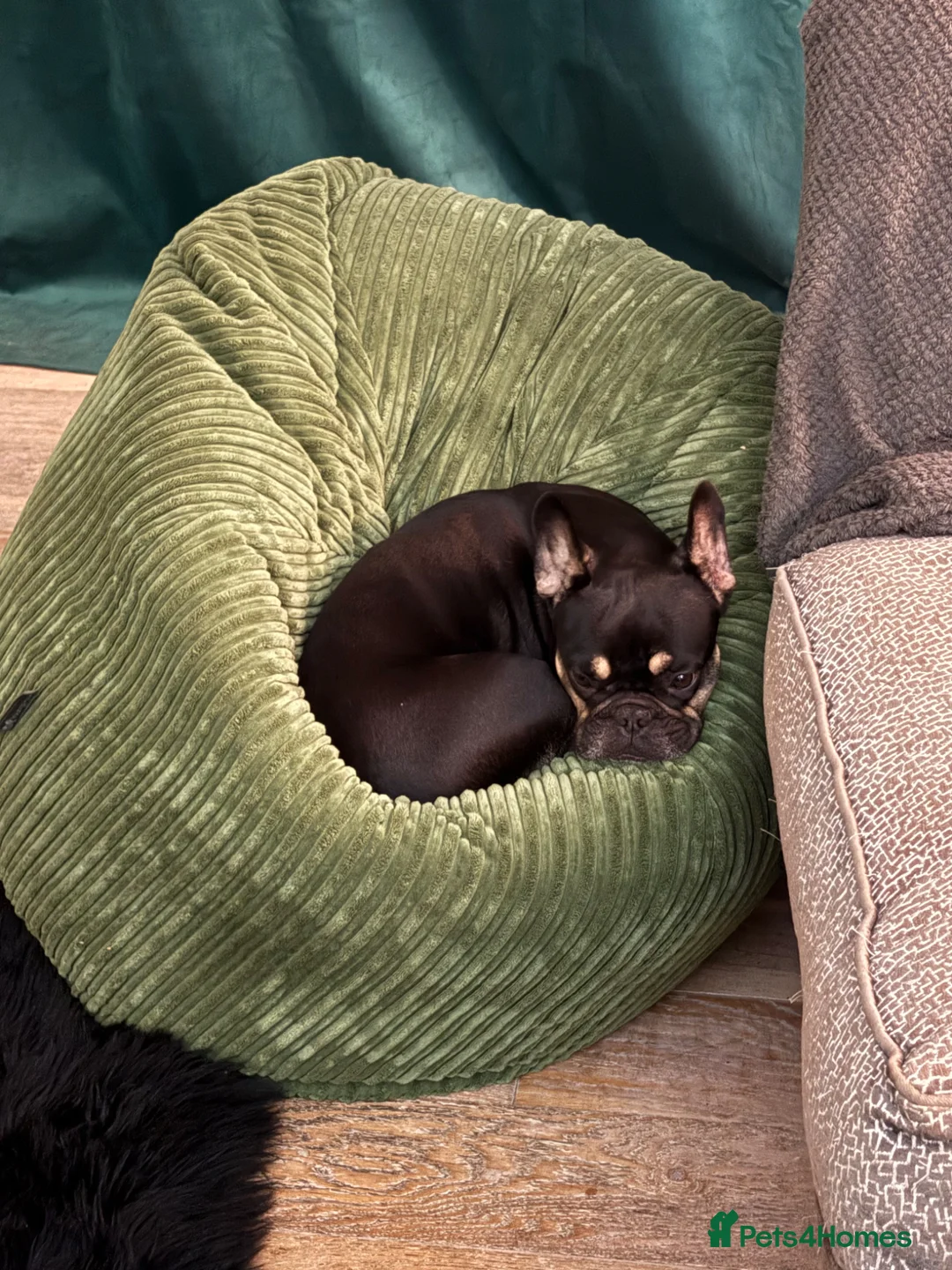 Gallery Image {{count}}