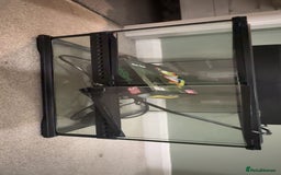 Leopard Gecko reptiles for sale: Gecko/Lizard cage  - Image 2