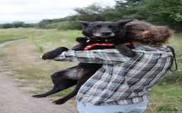 Mixed Breed dogs for adoption: 💖🐶 MARY 🐶💖 - Image 2