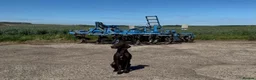 German Shorthaired Pointer dogs for adoption: Nial  - Advert 1