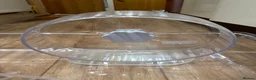 Hamster rodents for sale: Friendly Syrian Hamster + Full Deluxe Setup - Advert 6