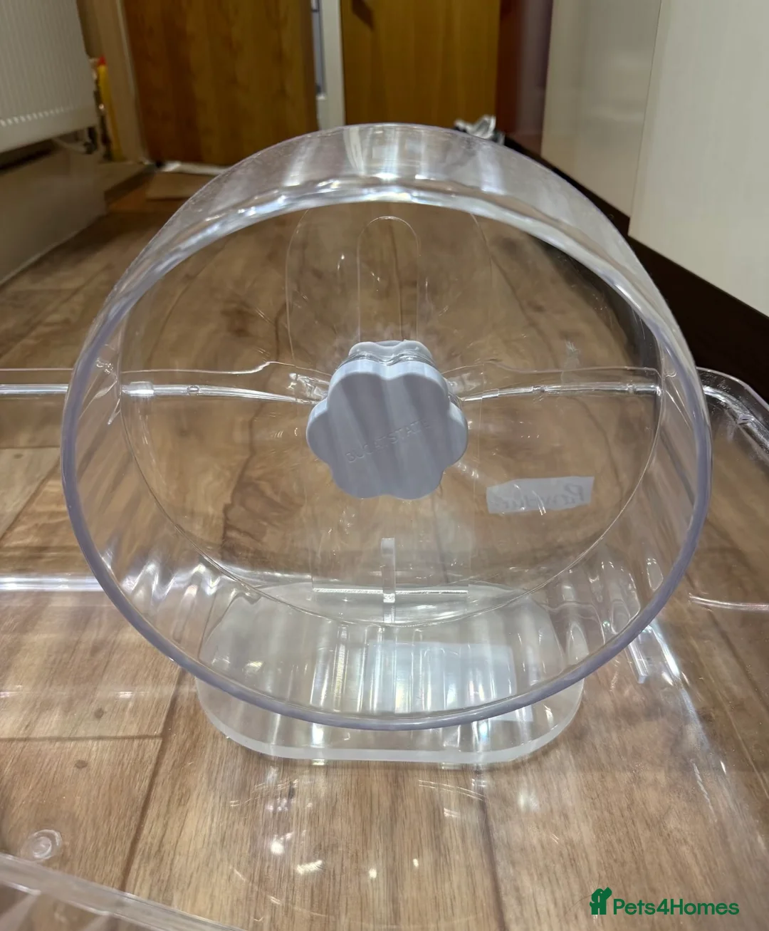 Hamster rodents for sale: Syrian Hamster Full Deluxe Setup - Advert 2