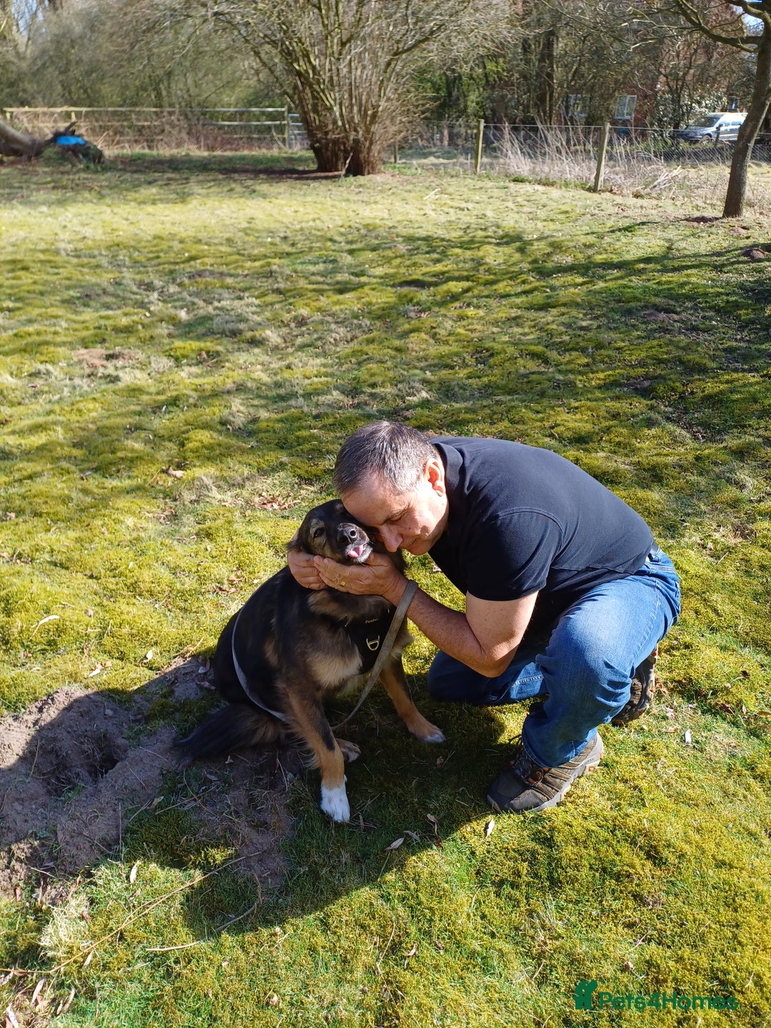 Mixed Breed dogs for adoption: Meet Little BEAR, a Lovely but naughty Boy... - Image 24