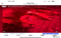 Miniature Dachshund dogs for sale: 5 Beautiful Long Haired Miniature Daschund’s   - Image 16