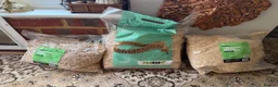 Python Snake reptiles for sale: 🌿 NEW BESPOKE 4FT REPTILE VIVARIUM full setup - Advert 7