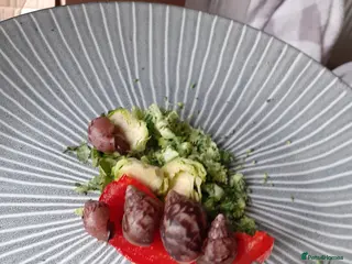 Snails invertebrates 🐌 Baby African Giant Land Snails for Sale 🐌 - Advert 8