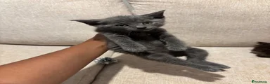 Munchkin 2