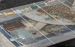Hamster rodents for sale: Hamster with home and accessories  - Image 5