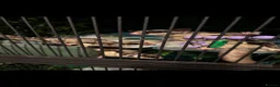 Sugar Glider rodents for sale: Sugar gliders  in Rugby - Advert 5