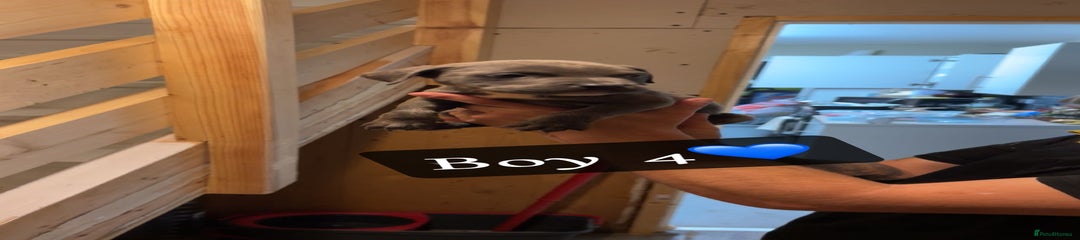 Boy 4
