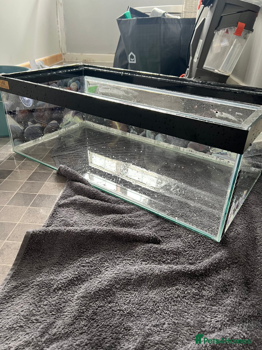 Turtle reptiles for sale: Reptile/turtle tank/terrapin/vampire crab tank - Image 9