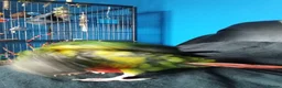 Conures birds for sale: Hand tamed conure and cage for sale in Glasgow - Advert 13