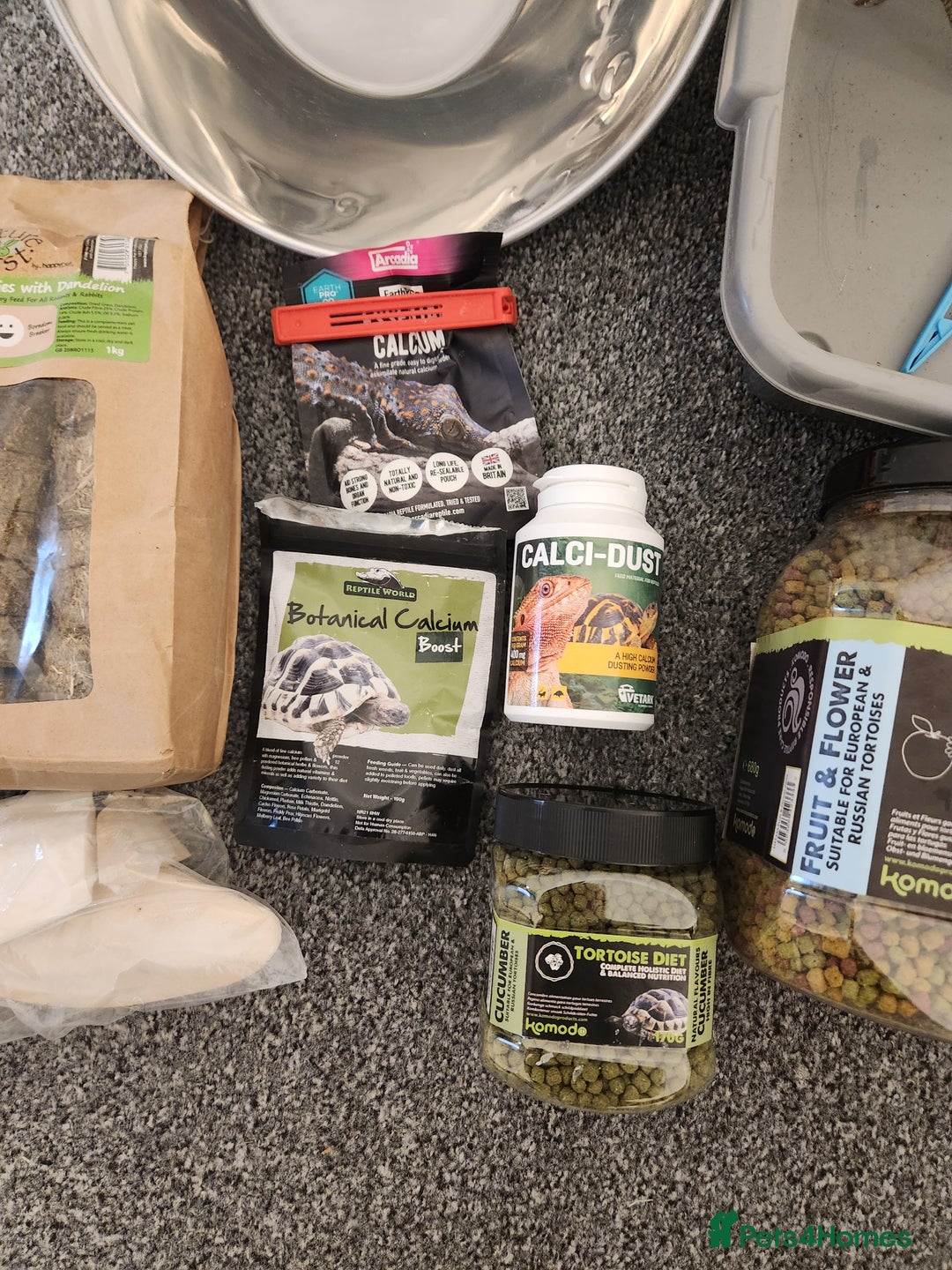 Hermann Tortoise reptiles for sale: Horsefield tort & full setup with lots of extras - Image 4