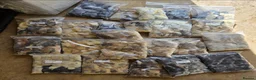 Snake reptiles for sale: Diamond Carpet Pythons - Advert 8