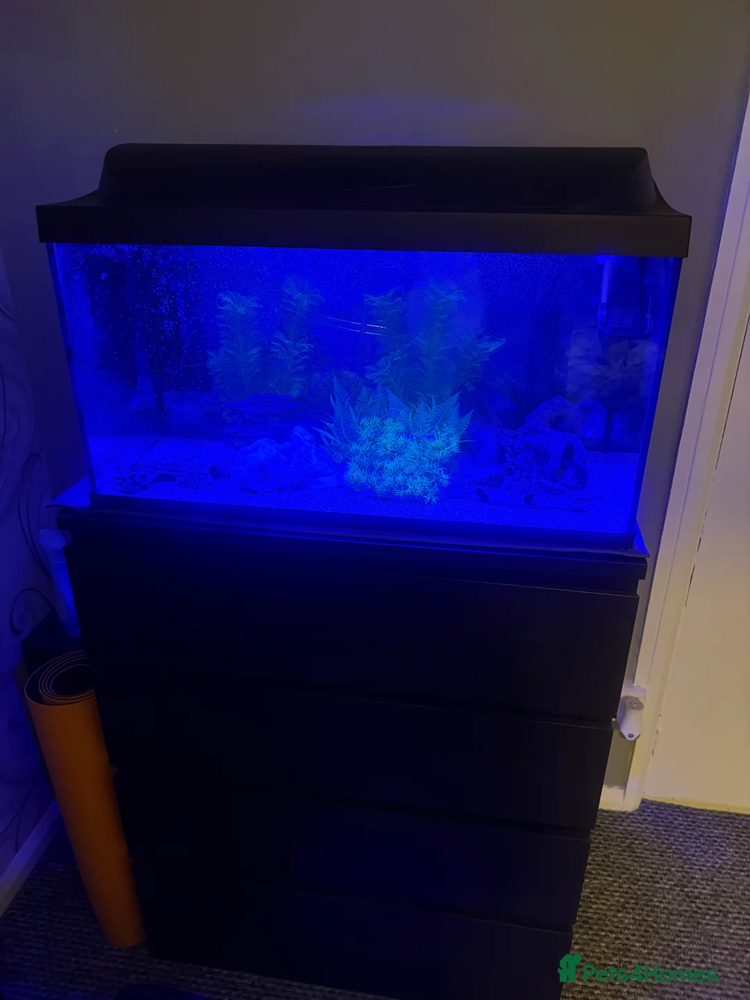 Other/Mixed Breed fish for sale: 105 litre full tropical fish tank set up  - Advert 2