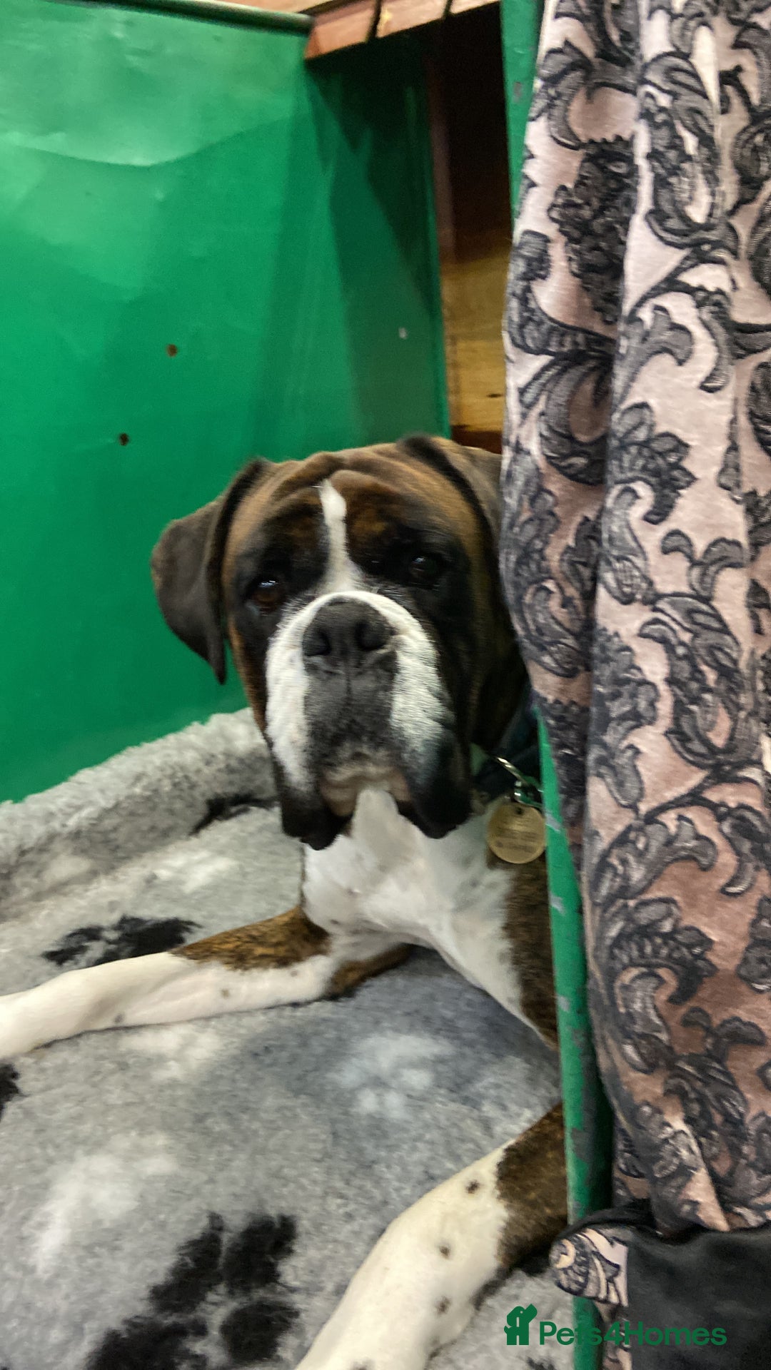 Gallery Image {{count}}