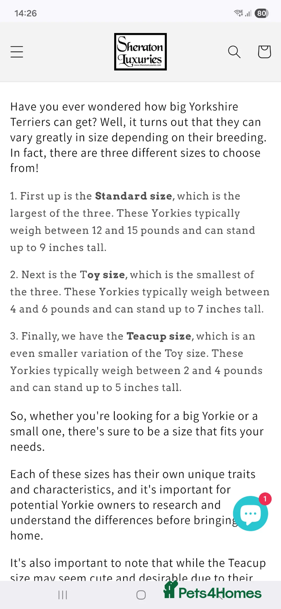 Yorkshire Terrier dogs for sale: Miniature Pedigree Yorkshire terriers girl  - Advert 9