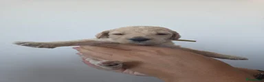 Poochon 5