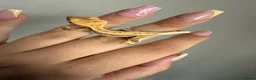 Gecko reptiles for sale: Crested gecko for sale  - Advert 7