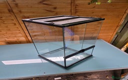 Frog reptiles for sale: Kit terrarium - Image 9