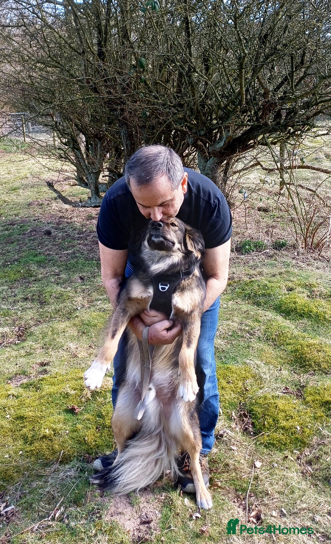 Mixed Breed dogs for adoption: Meet Little BEAR, a Lovely but naughty Boy... - Image 30