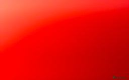 Dachshund dogs for sale: Dachshund miniature smooth haired - Image 5