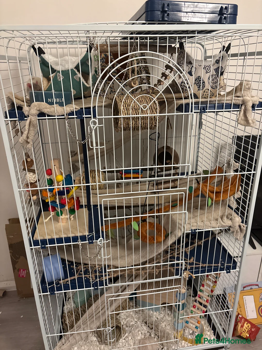 Rat rodents for sale: 2 male pet rats and cage and everything I have for in Harrow - Advert 1