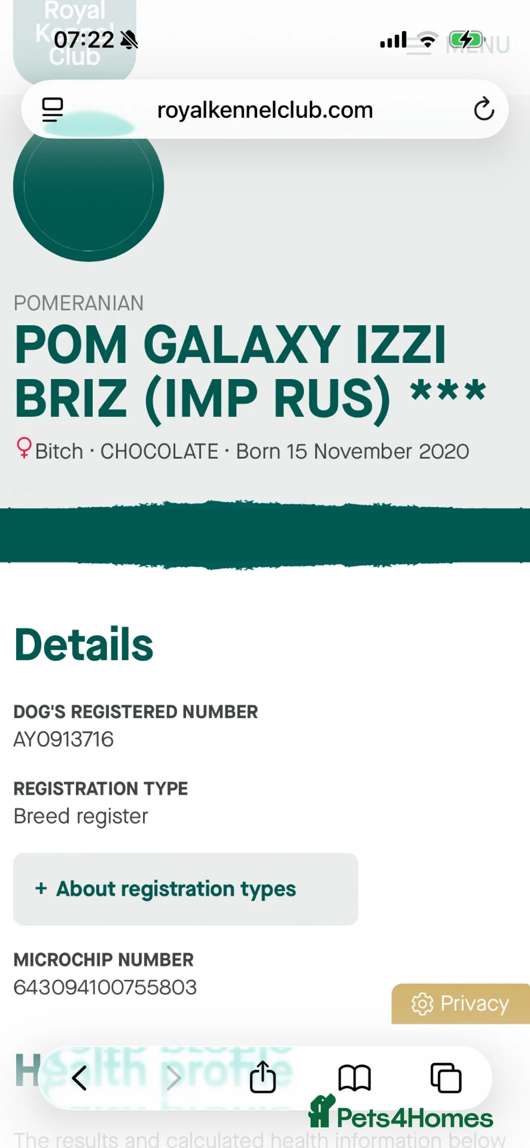 Pomeranian dogs for sale: Beautiful KC Reg girl 5yrs old  - Advert 9