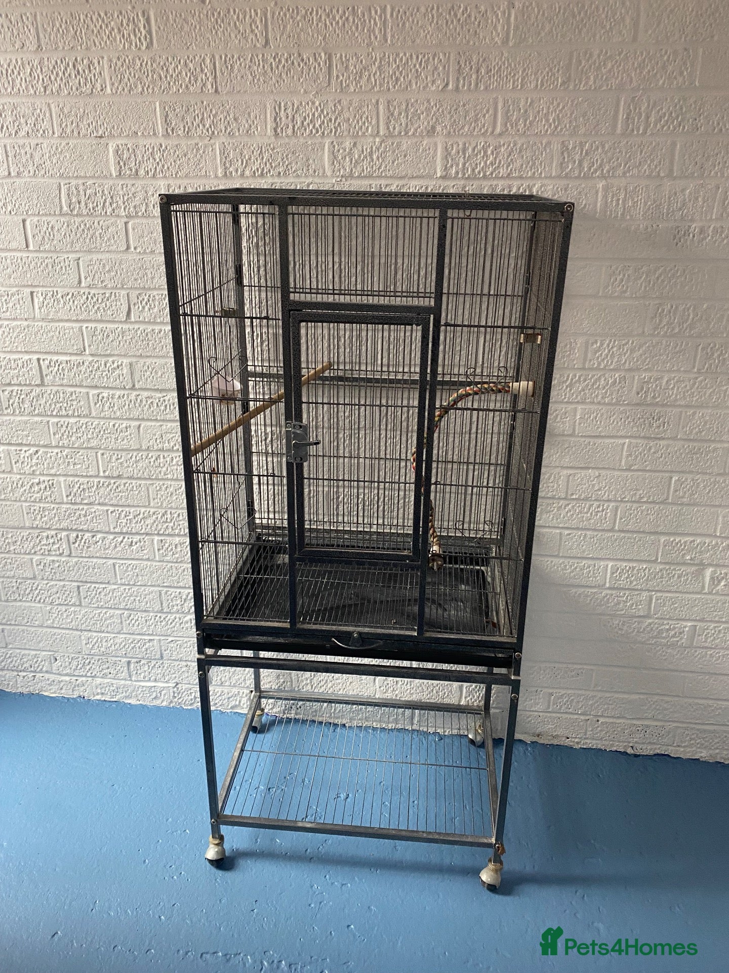 Budgerigars birds Bird cage with free Budgie - Advert 2