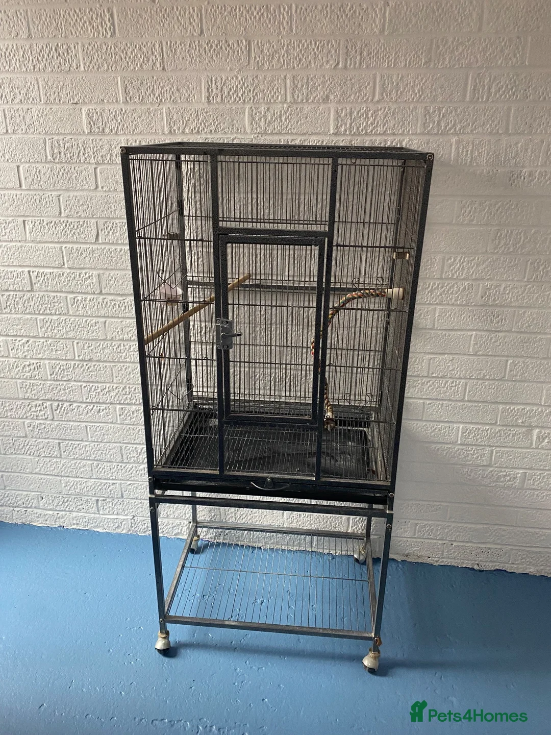 Budgerigars birds for sale: Bird cage with free Budgie in Leamington Spa - Advert 1