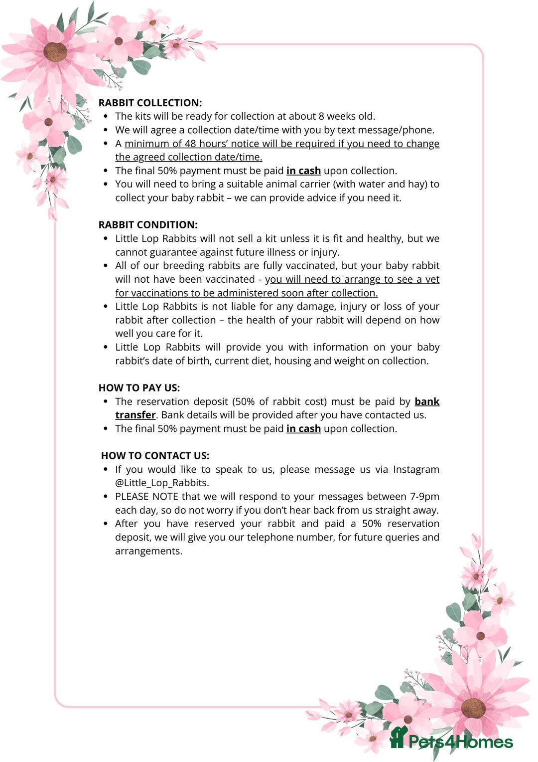 Mini Lop rabbits for sale: Mini Lop Rabbits Waitlist 2026 - Advert 7