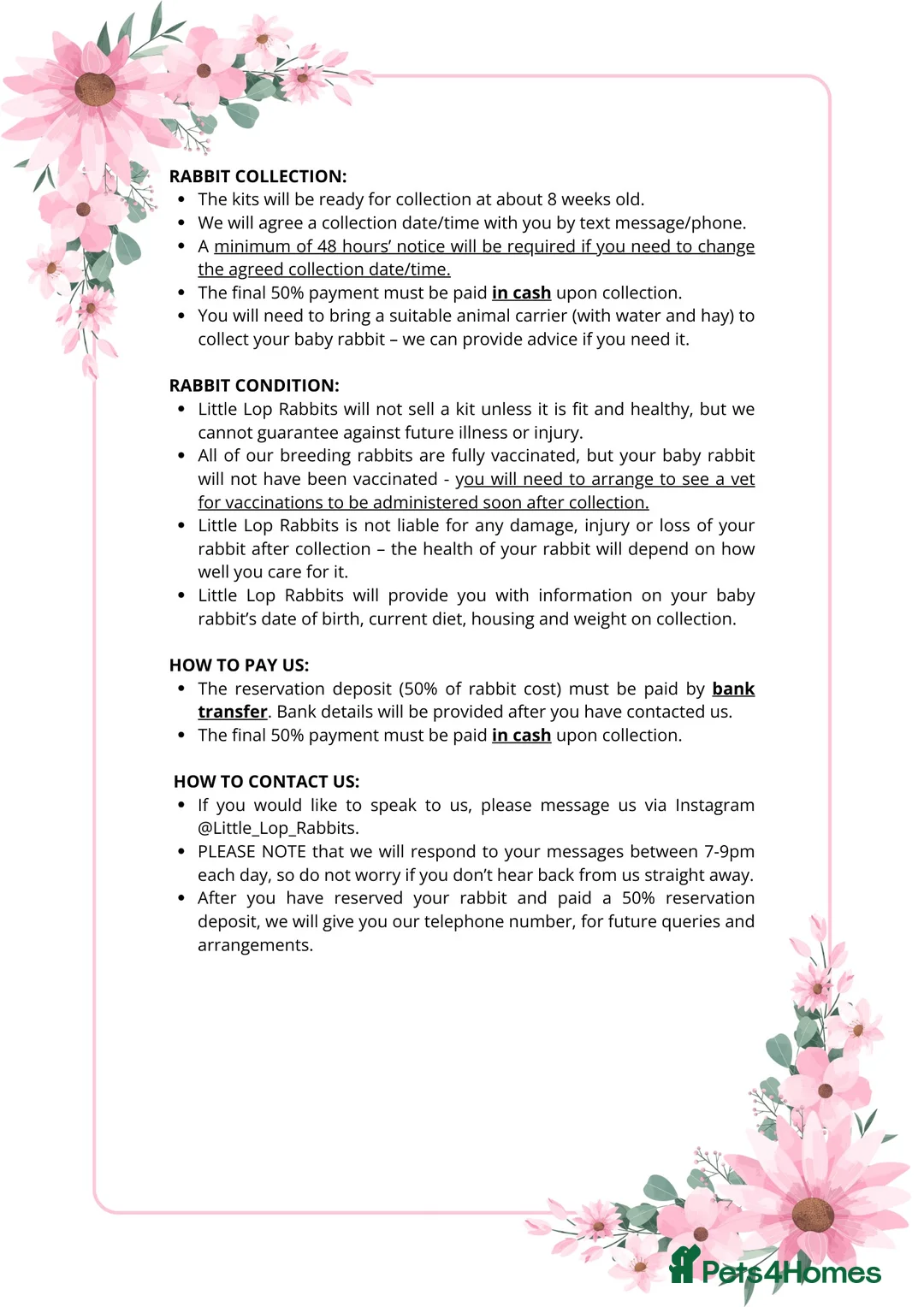 Mini Lop rabbits for sale: Mini Lop Rabbits Waitlist 2026 - Advert 12