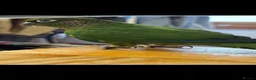 Conures birds for sale: Green cheeked conure ‘Cujo’  - Advert 2