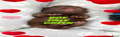 Pale green collar