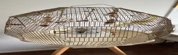 Cockatiels birds for sale: Beautiful Hand-Tame Cockatiel With Cage and Stand - Advert 4