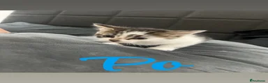 Po