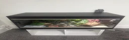 Leopard Gecko reptiles for sale: Female Leopard gecko  - Advert 7