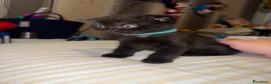 Kai💙
