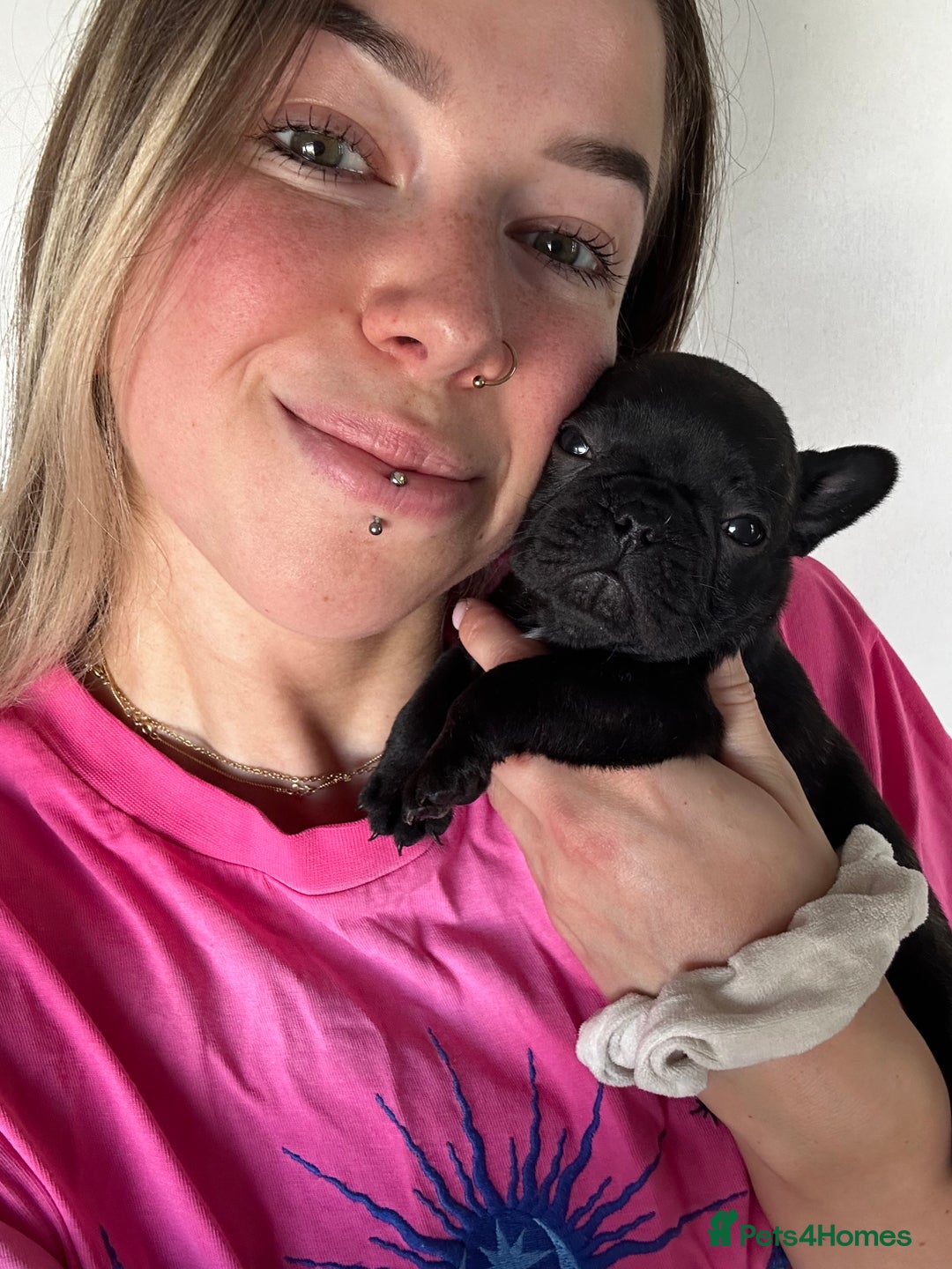 French Bulldog dogs for sale: FrenchAngels 👼🏼🐾 - Image 12
